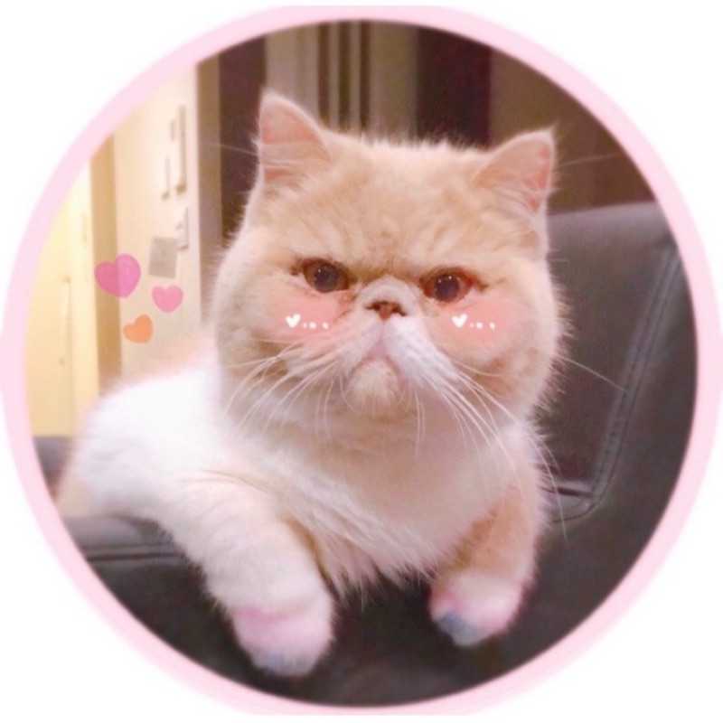 ちー