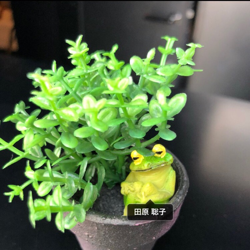 さ