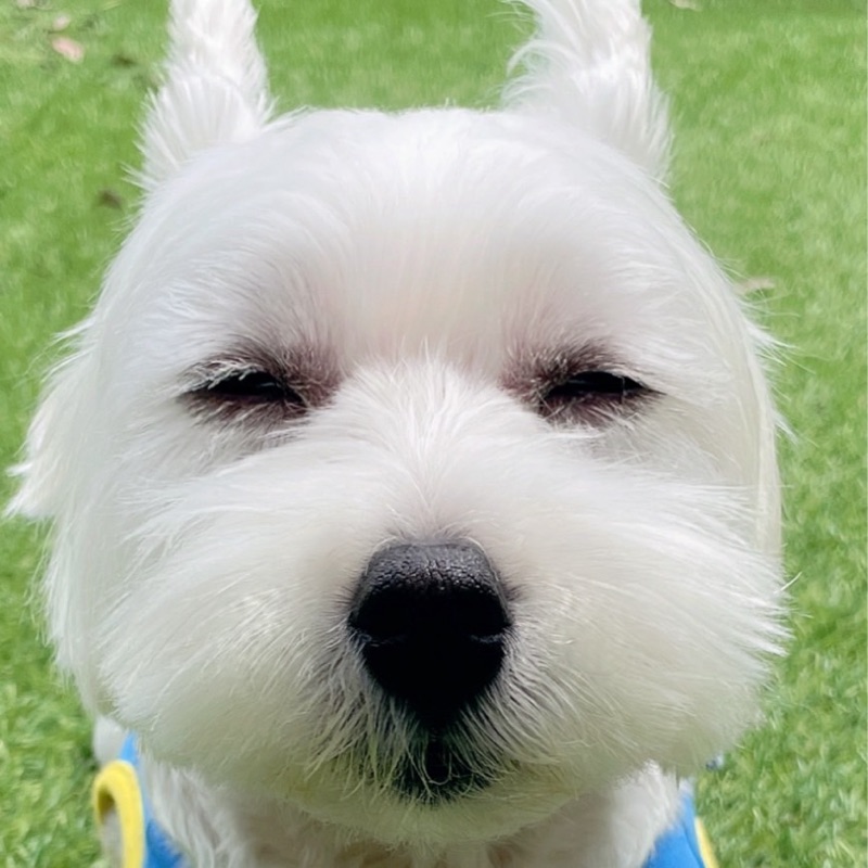 宮﨑