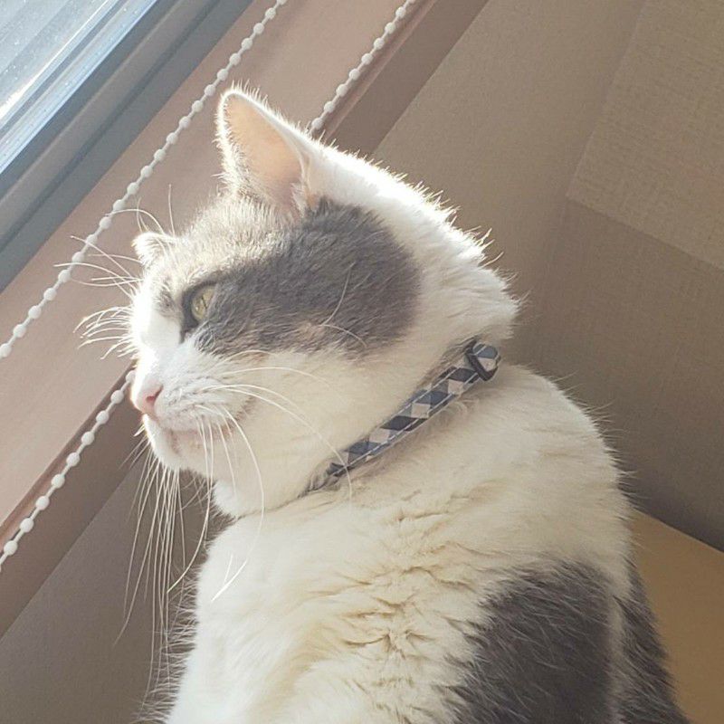 ゆうふう