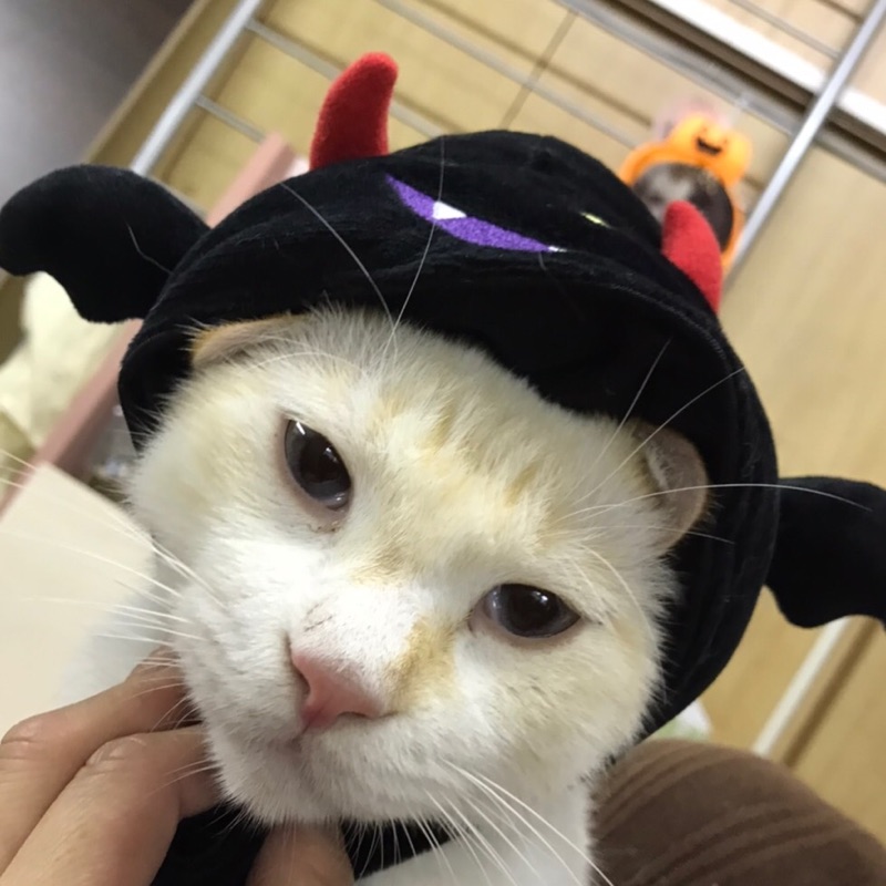 財津義則