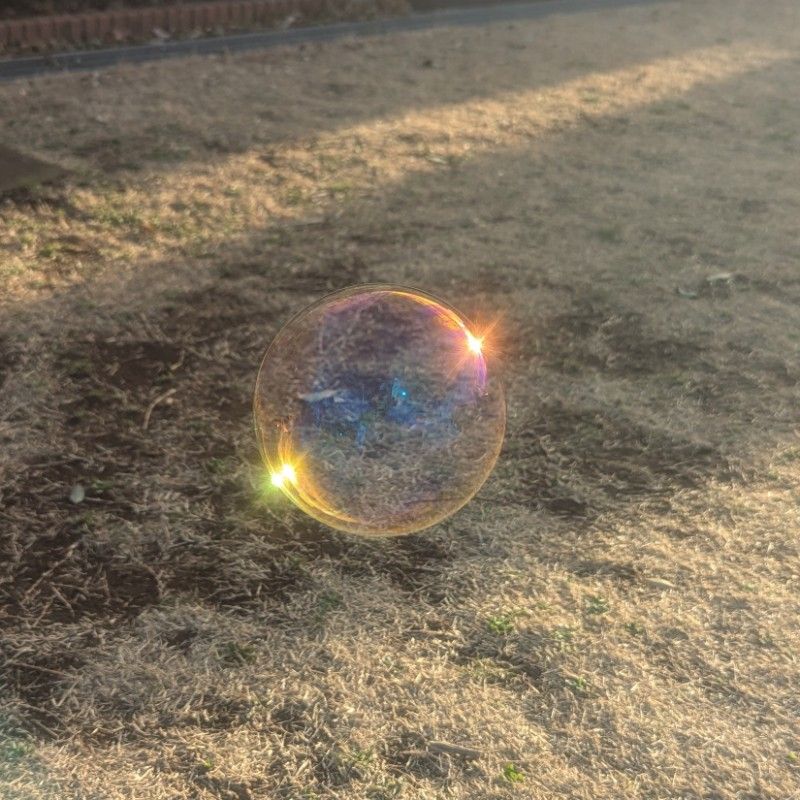 そよ