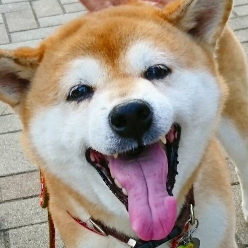 かんばやし