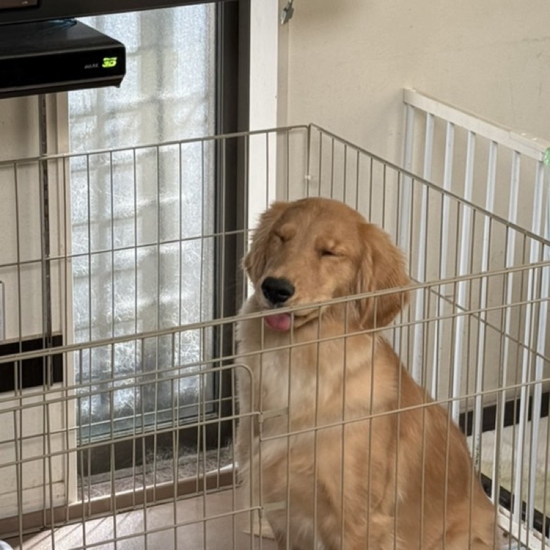 鈴木颯真
