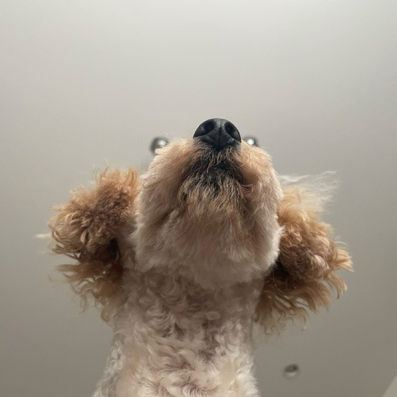 u.