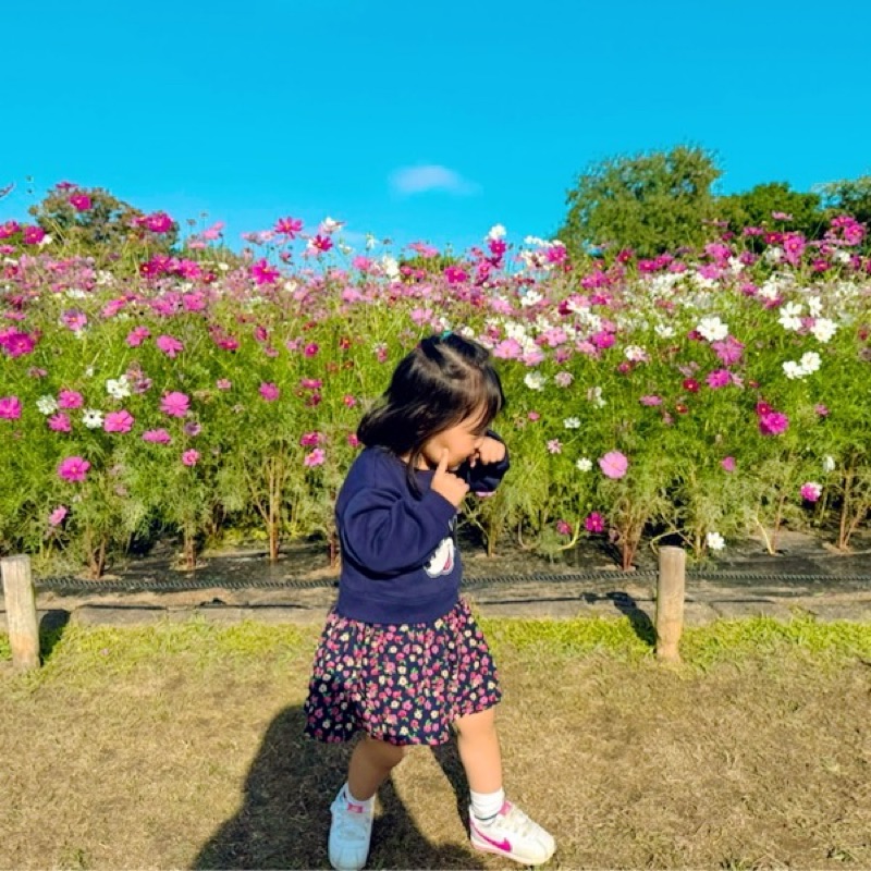 山口眞輝