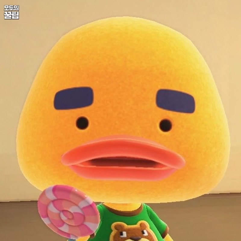 赤瀬 日菜