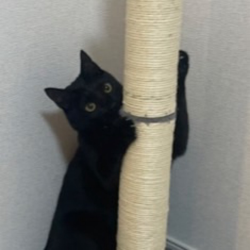 なかの