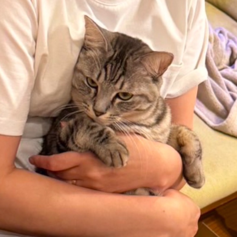 鹿野花
