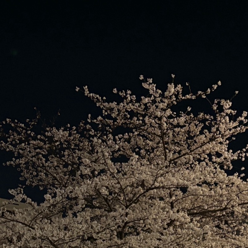鈴木咲紀