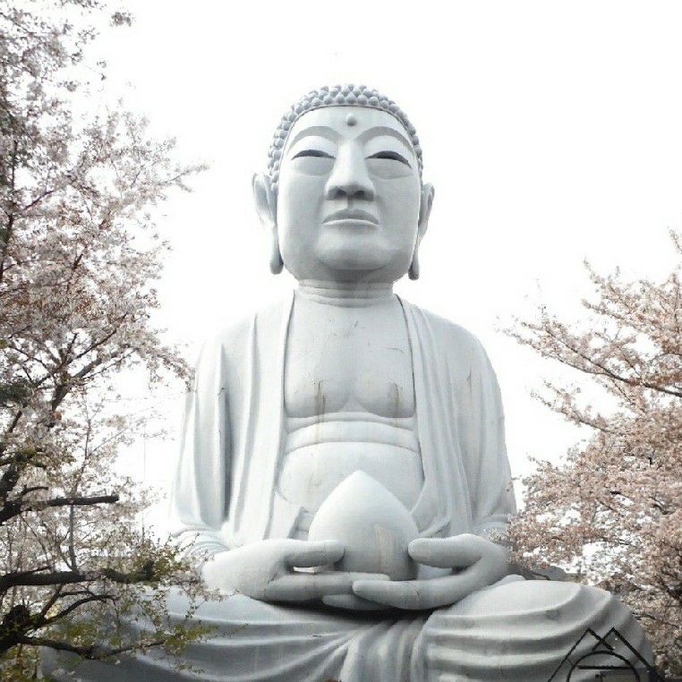 渡辺里美