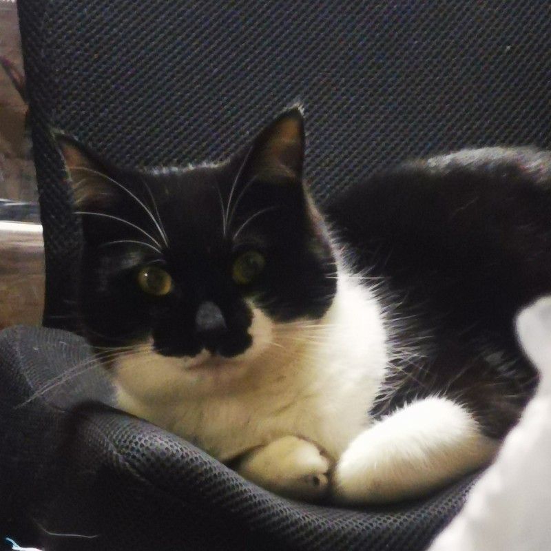 王 ゆう