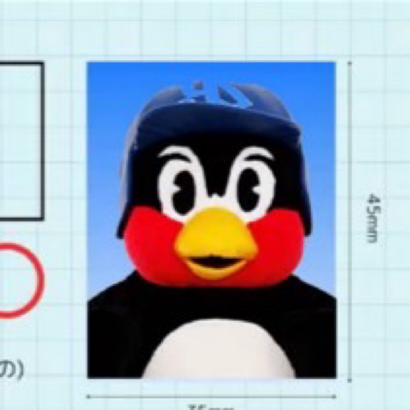 横山　健人