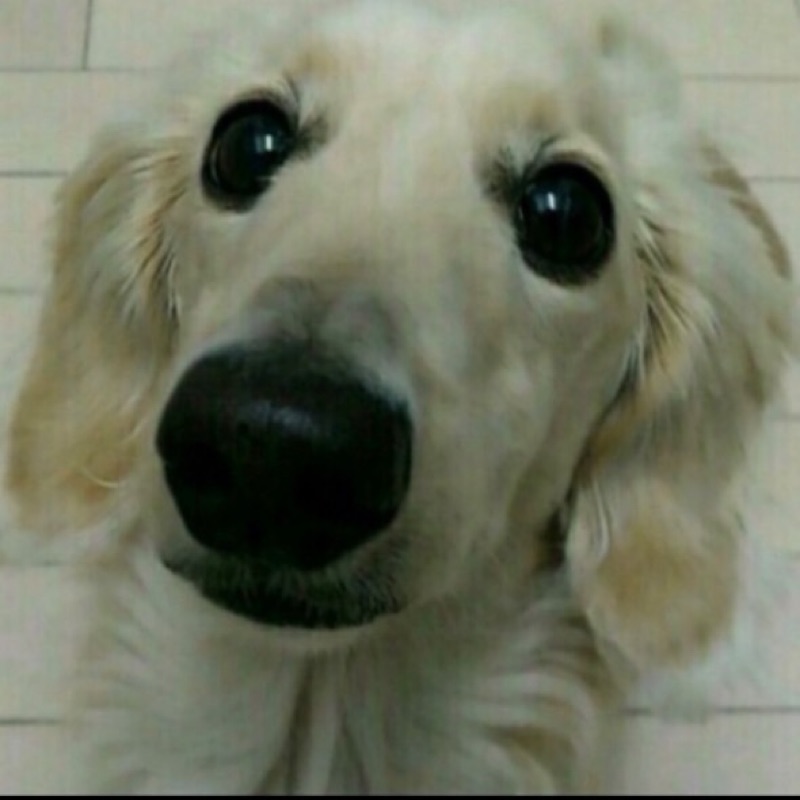 kona
