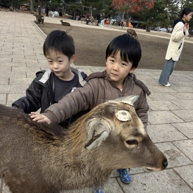 ねんこ子ニャーコ