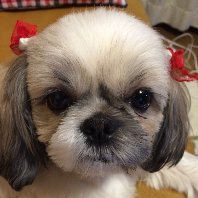 ナオ