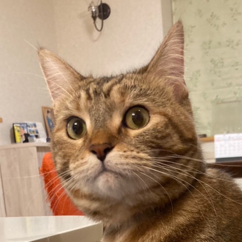奥秋　亜由美