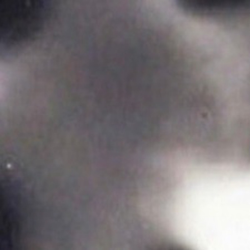 清水悠汰