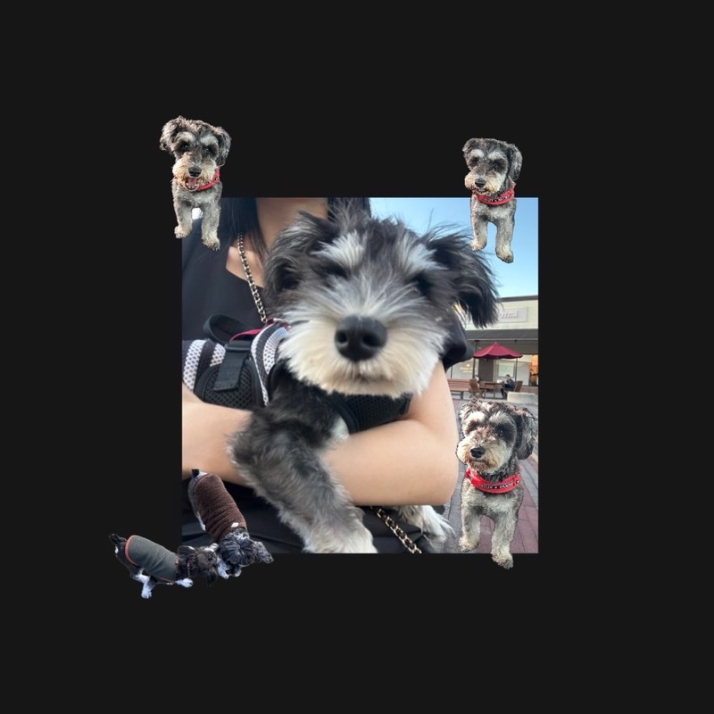 ほり
