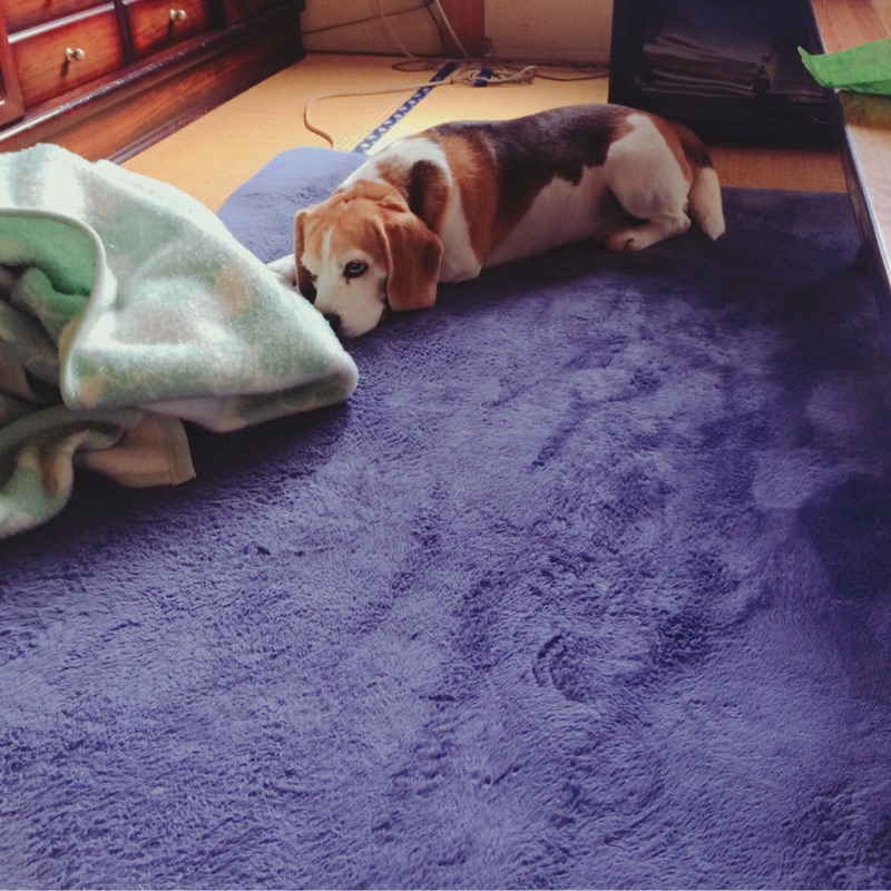矢吹