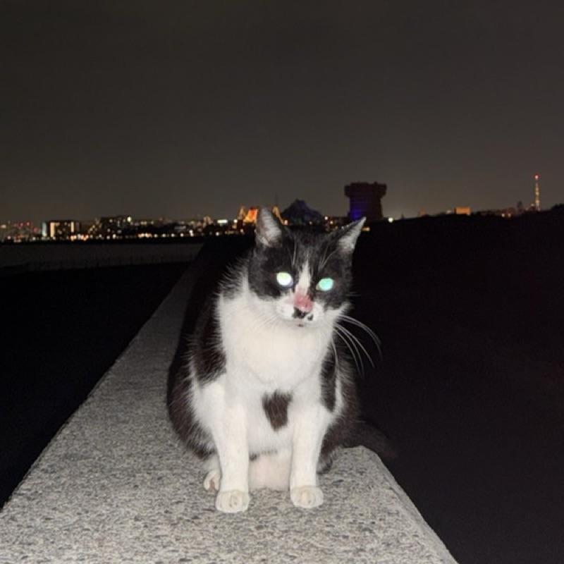 ここな