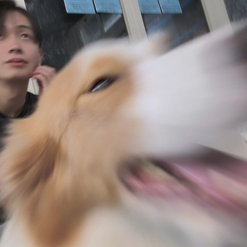 みや