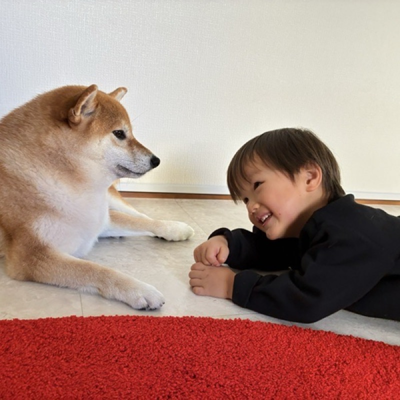 Gabu