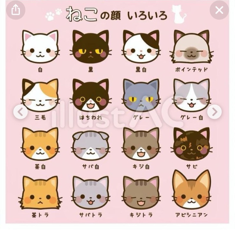 ビンのゲーム