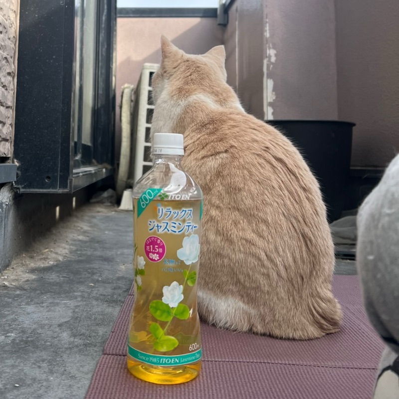新開　優佳