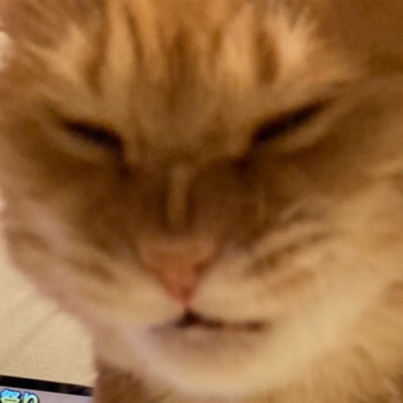 mi