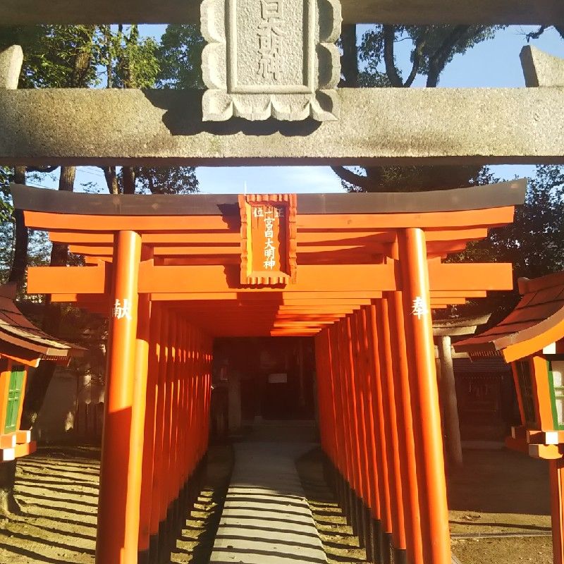 谷　道子