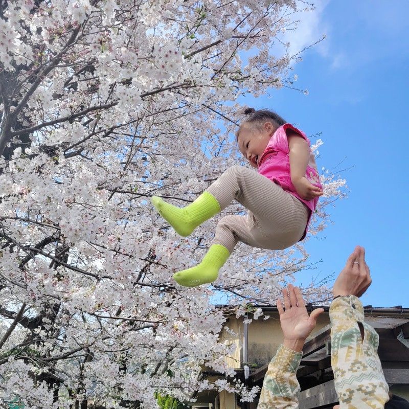 ゆか
