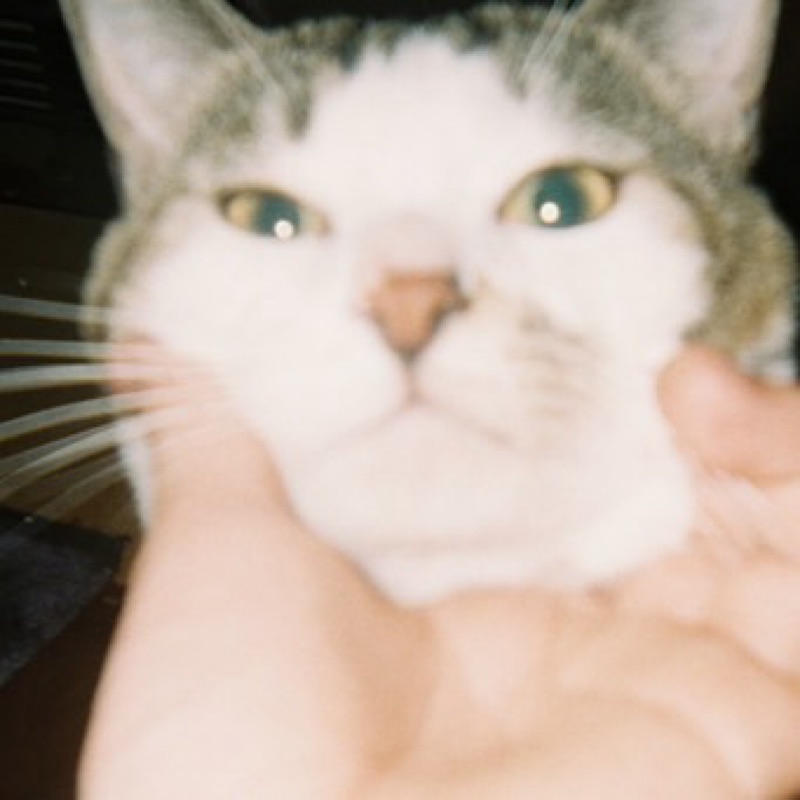 mi