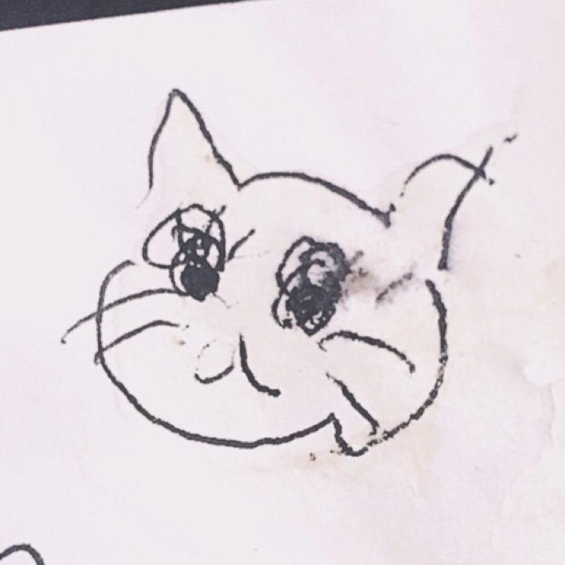 やんぽこ