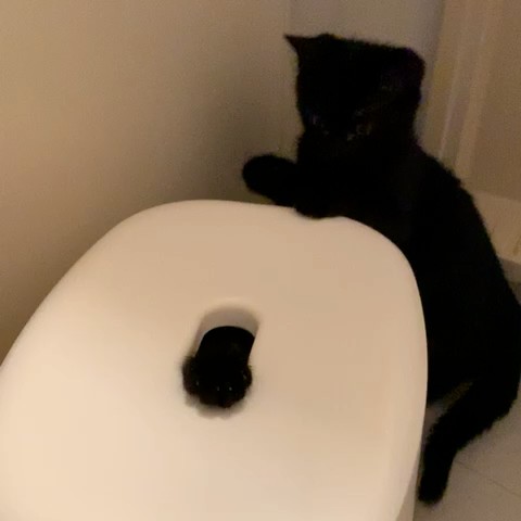 みお
