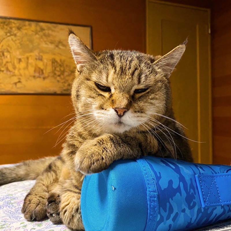 ダイフク