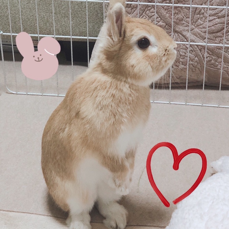 澤中ひろみ