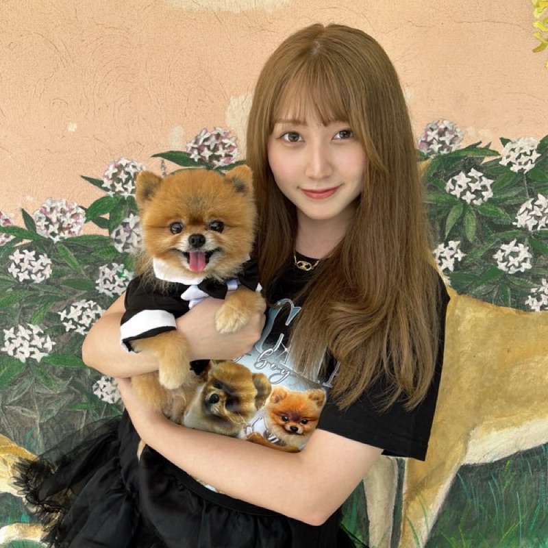 seina