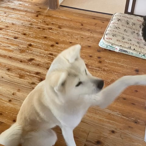 堀川　由香