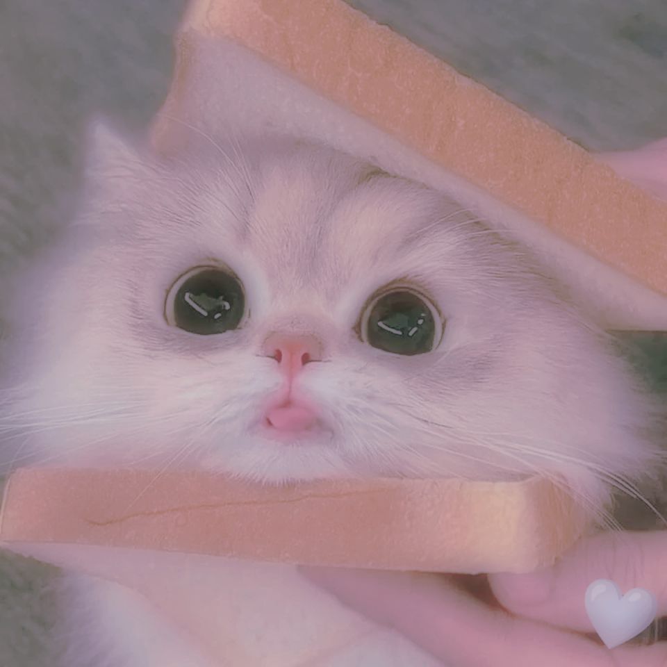 中澤彩月