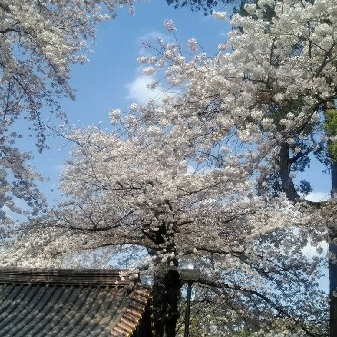 河栗　ひとみ