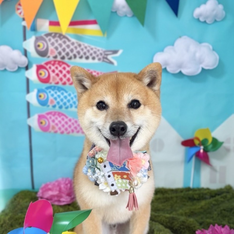 あたま