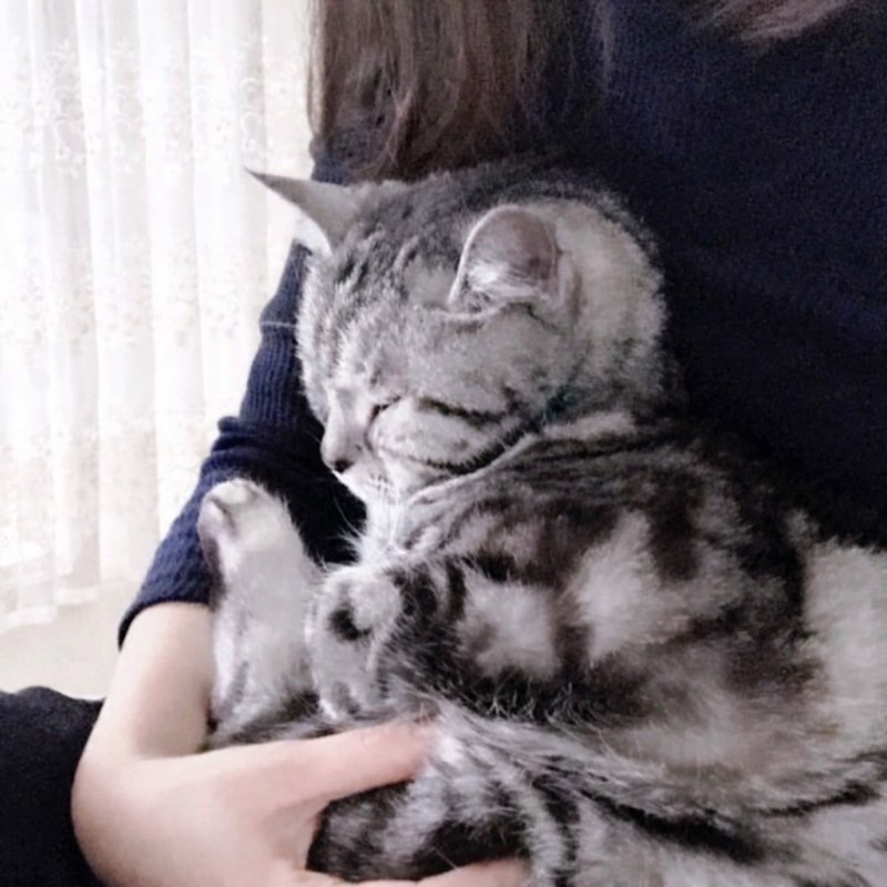 さくまい