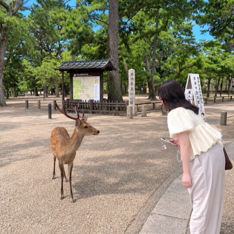 りさ