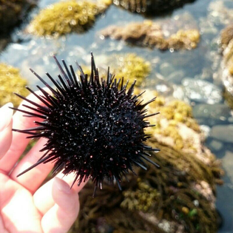 ちか