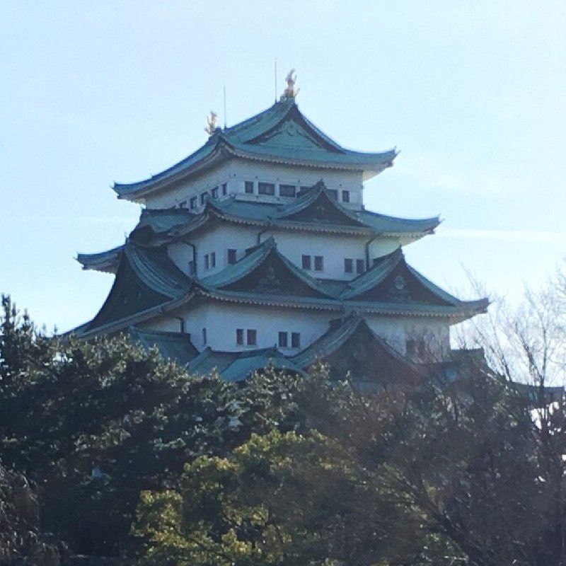 いなだえつこ