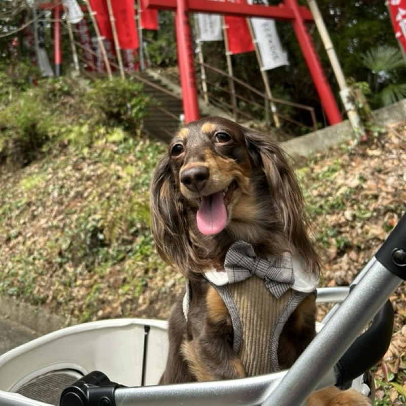 ひろこ