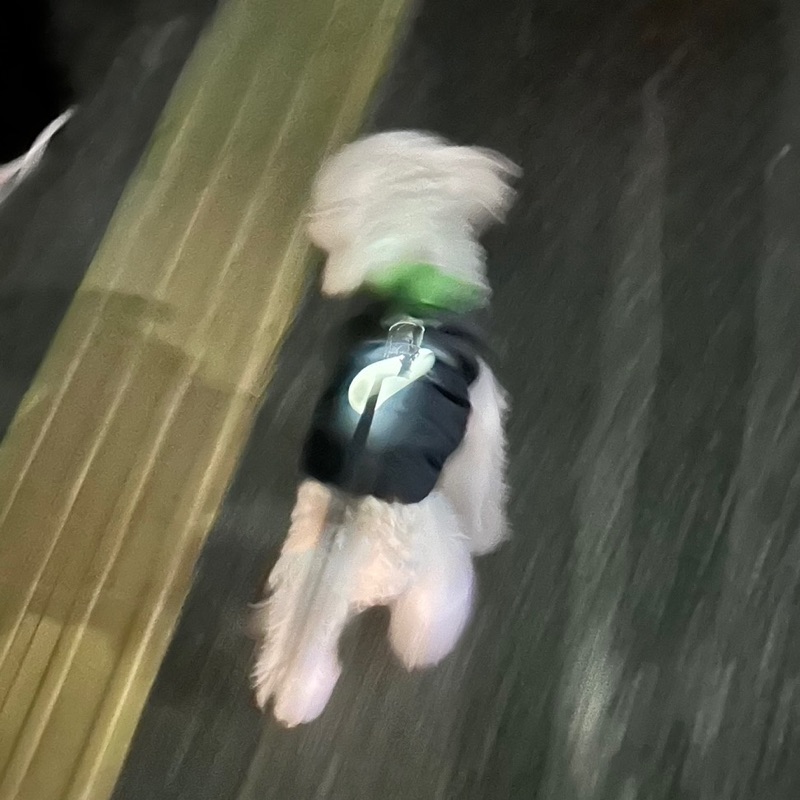 大野