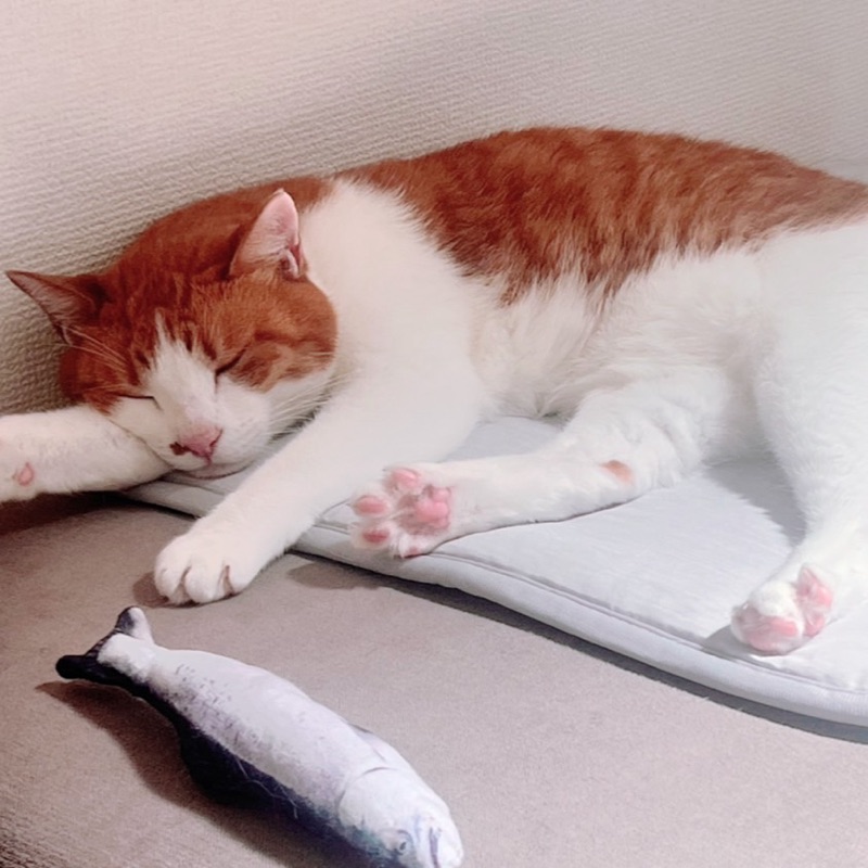 ゆきな