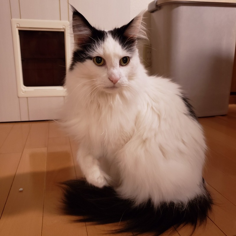 沖野佳秀